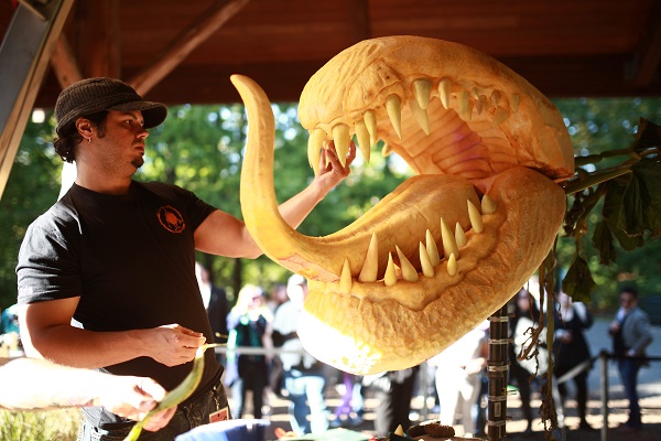 Pictured: Artist Chris Vierra is seen carving away at one of the pumpkins on display at the New York Botanical Garden. Photo Credit: Victor Chu. Photo Courtesy of: The New York Botanical Garden.