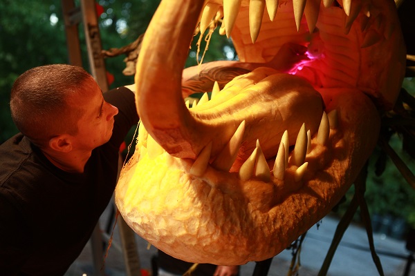 Pictured: Artist Ray Villafane is seen carving away at one of the pumpkins on display at the New York Botanical Garden. Photo Credit: Victor Chu. Photo Courtesy of: The New York Botanical Garden.