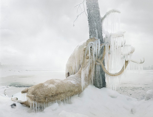 "Untitled #159, 2010 (frozen)" by artist Simen Johan. Photo Courtesy of: Simen Johan.