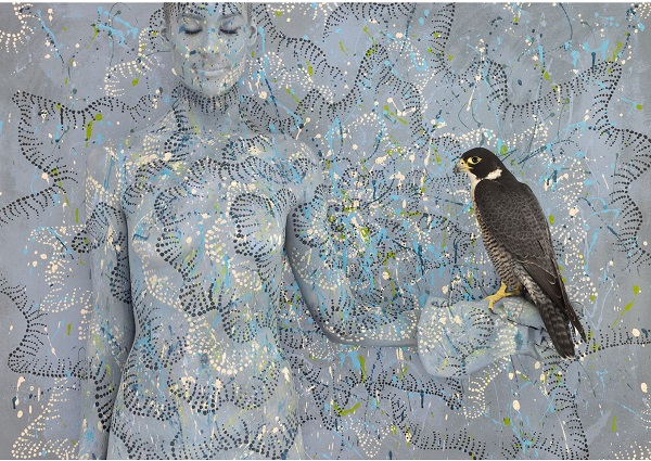 "Peregrine Falcon with Spotted Sun" for the "Birds of Prey" collection by Emma Hack. Photo Credit: Emma Hack.